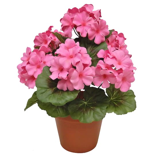 12" Potted Geranium by Ashland